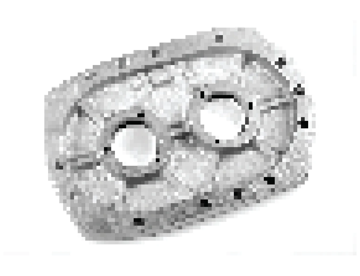 04 (1)